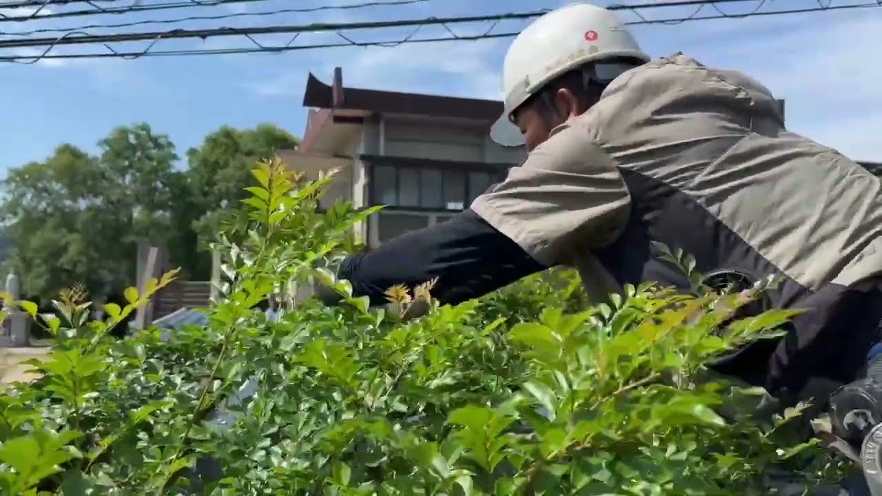 画像：野村緑建株式会社「野村緑建ではこんな仕事をしています♪」篇