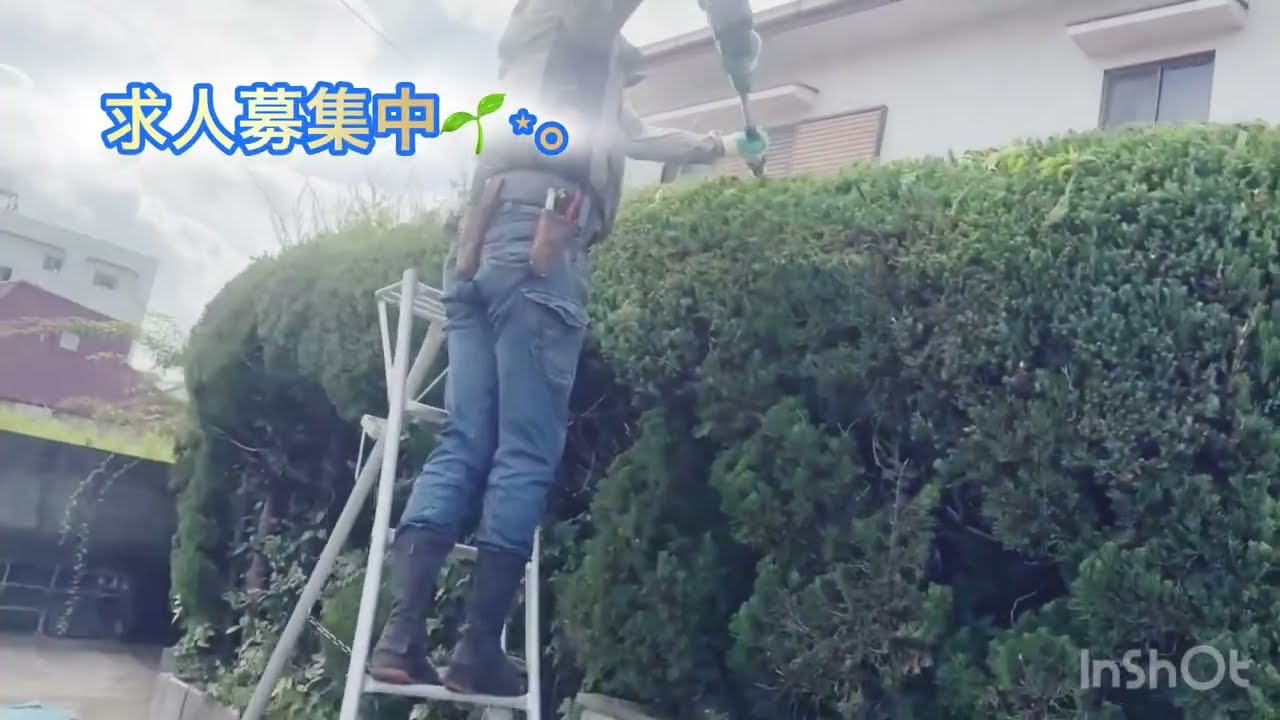 画像：求人募集「野村緑建株式会社」篇