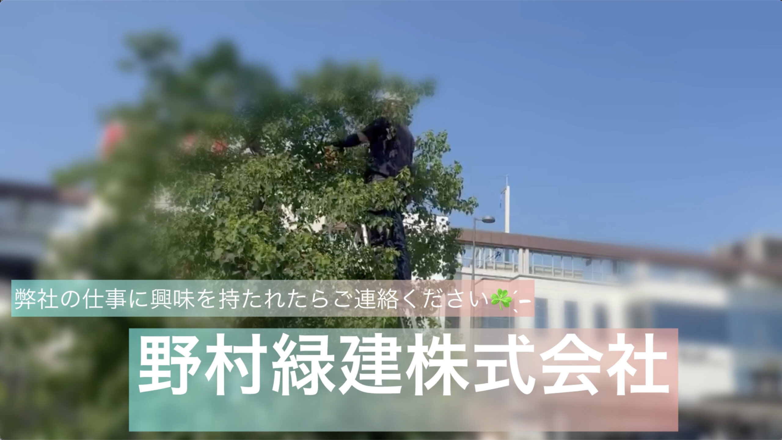 画像：野村緑建株式会社「野村緑建ではこんなお仕事をしています♪」篇